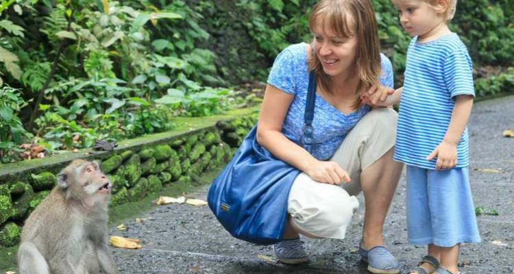 7 jours Bali Natural & Cultural (guide privé et chauffeur）) - UME Travel Co. Ltd 9