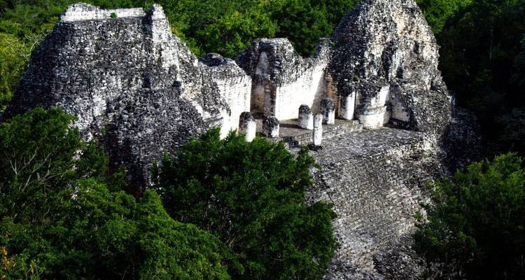 Ruins of an ancient stone structure surrounded by dense jungle foliage.