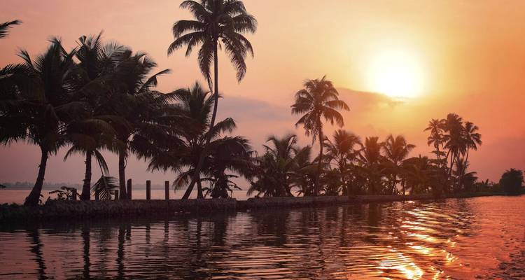 Zonsondergangzicht van palmbomen die reflecteren op een waterweg.