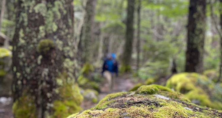 Patagonia: ‘O’ Circuit Trek (Premium Service) - Unu Raymi Expeditions 1