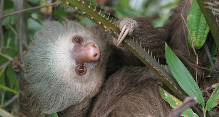 Costa Rica : culture et nature ! - Elemento Natural Costa Rica 3