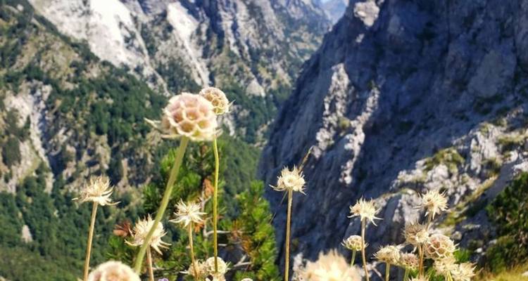 Albania Uncovered: A Journey Through Nature, Culture, and Timeless Beauty - InAlb TPP Shpk 4