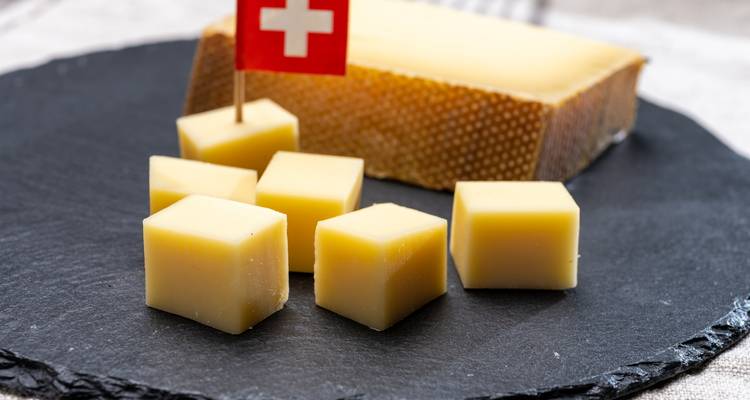 Switzerland Discovery - Wingbuddy 7