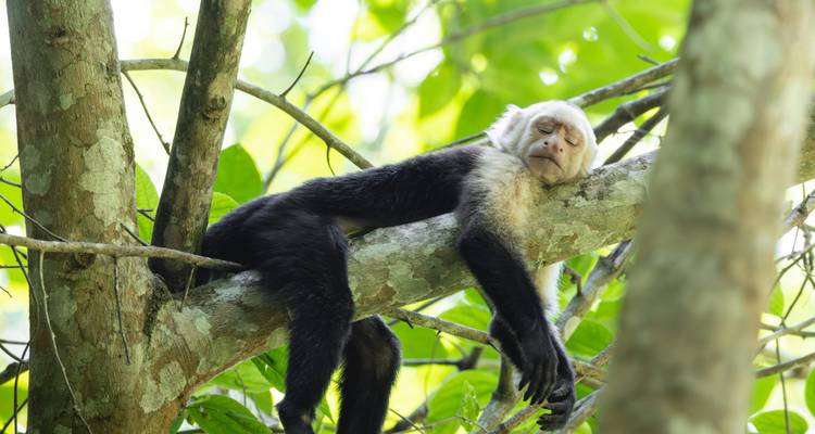 Circuit de 9 jours au Costa Rica - GUIDEcuador Travel 10