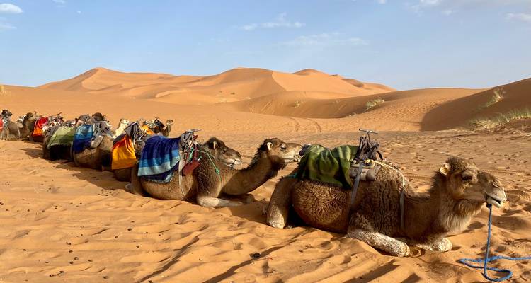 Morocco Extended - Chefchaouen, Fes, Sahara, Marrakech (ages 21-35) - Under30Experiences 4