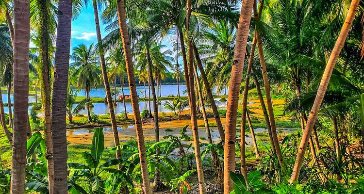 Paquete turístico privado de 8 días por Palawan (Filipinas), con salida diaria y coche exclusivo - Agate Travel 7