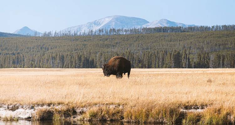 National Parks of America  (Scottsdale, AZ to Rapid City, SD) (2026) - Collette 1