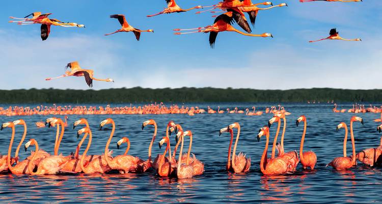 Mexico, Belize & Guatemala: Discover the Last Secrets of the Maya - 19 Days - Oasis Travel 2