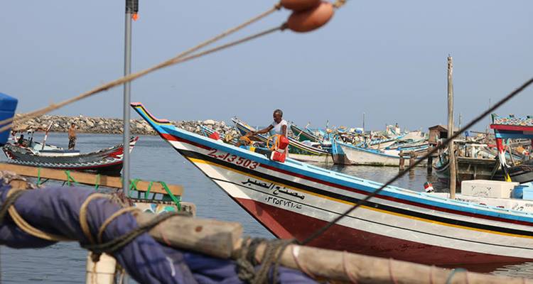 Un hombre está parado en una colorida embarcación pesquera de madera en un puerto concurrido lleno de embarcaciones similares en un día azul y tranquilo.