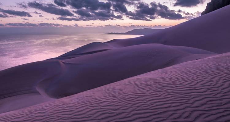 Dunas de arena ondulante teñidas de lavanda se inclinan suavemente hacia un mar en calma al atardecer bajo nubes rosadas suaves.