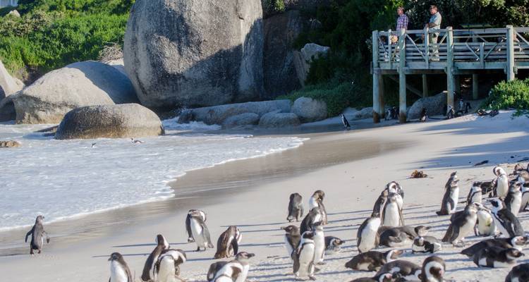 Splendeurs de l'Afrique australe - avec escorte - African Travel 4