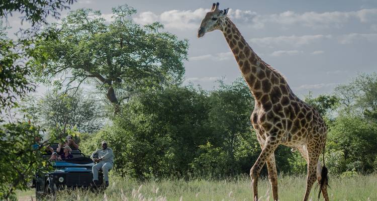 Splendeurs de l'Afrique australe - avec escorte - African Travel 7