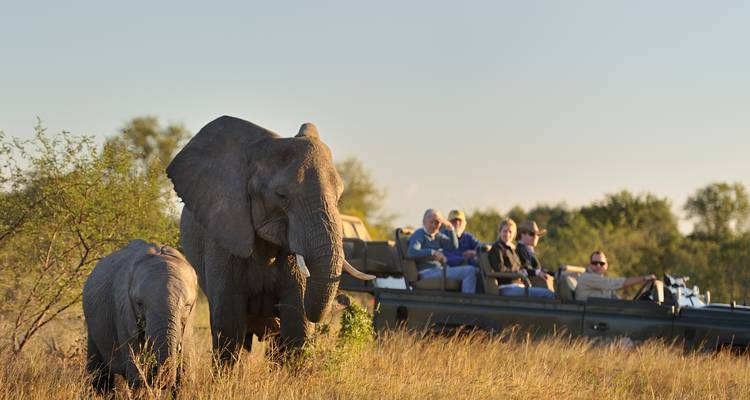 Splendeurs de l'Afrique australe - avec escorte - African Travel 8