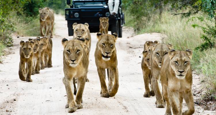 Splendeurs de l'Afrique australe - avec escorte - African Travel 9