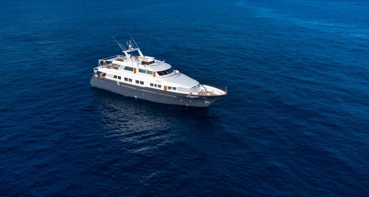 Ángel de Galápagos - 5 días itinerario C - Royal Galapagos 1