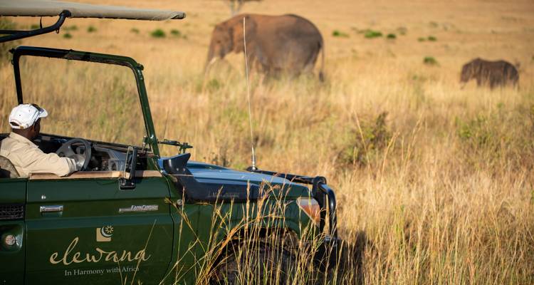 La Gran Migración - Un Safari Definitivo - African Travel 2
