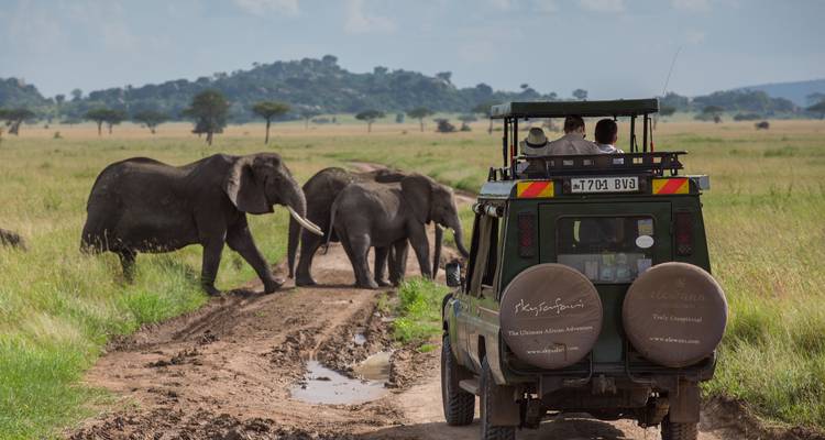 La Gran Migración - Un Safari Definitivo - African Travel 6