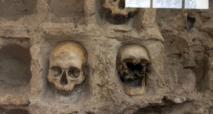 Close-up of weathered human skulls embedded in clay niches inside a dim historical ossuary