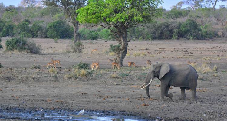 9 días Kruger, Namibia y Cataratas Vic - Africa Moja Tours & Transfers 4