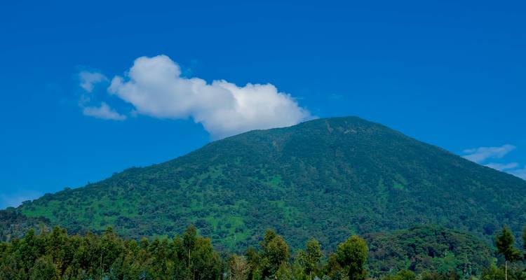 3 Days 2 Nights Golden Monkey & Uganda Gorilla Trekking Safari - Rwanda Eco Company and Safaris  5