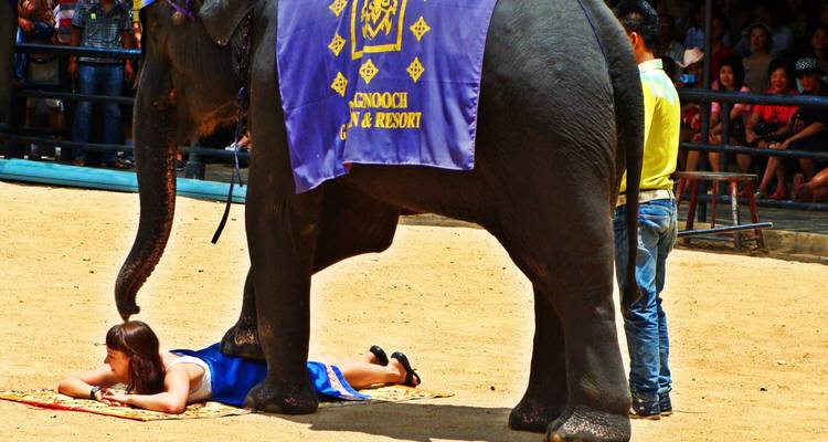 Safari à Bangkok en 4 jours et 3 nuits - Across Africa Tours & Travel 3