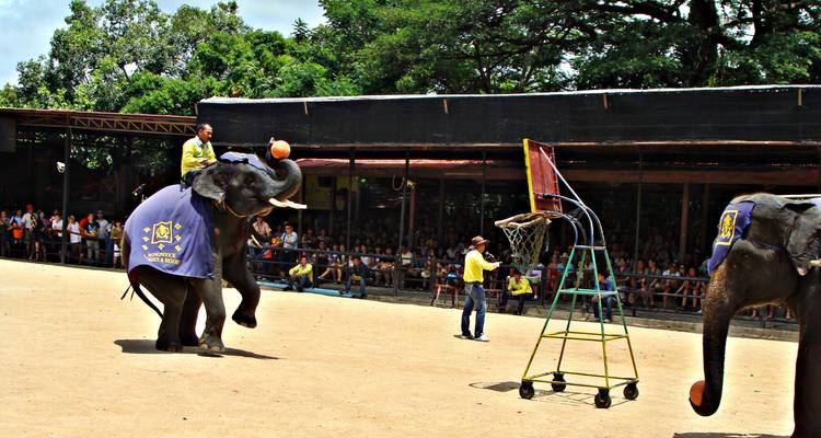 Safari à Bangkok en 4 jours et 3 nuits - Across Africa Tours & Travel 7