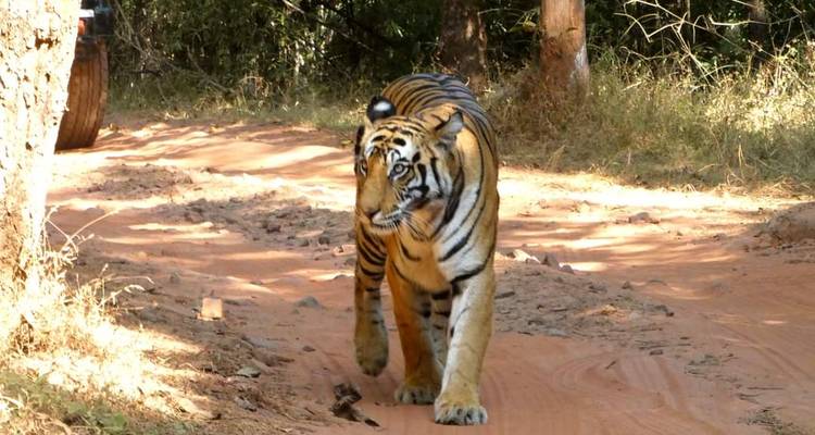 Luxury North India with Varanasi - Golden Triangle India Tours 8