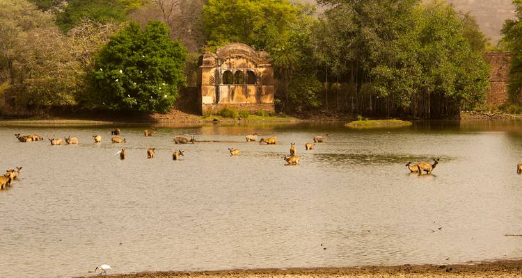 Luxury North India with Varanasi - Golden Triangle India Tours 10