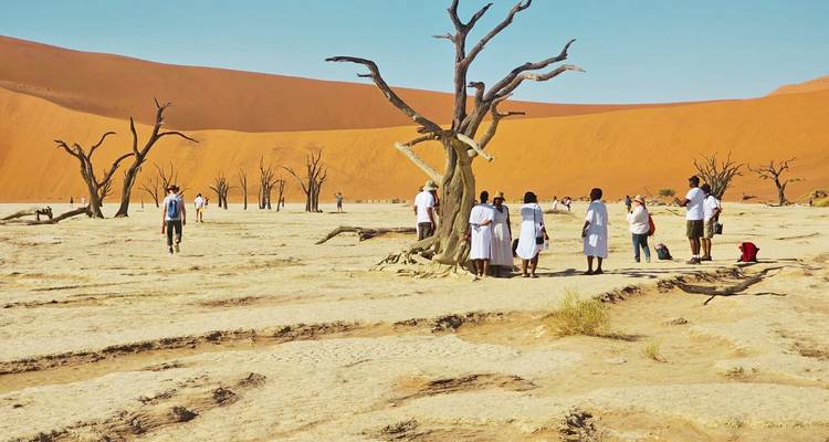 Eine Gruppe von Menschen, die durch eine Wüstenlandschaft mit toten Bäumen vor dem Hintergrund orangefarbener Sanddünen wandelt.