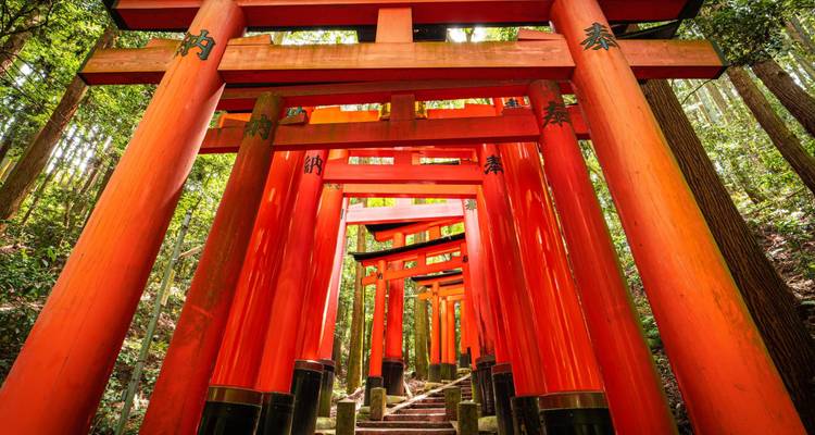 La magie du Japon - Expeditions Gateways 1