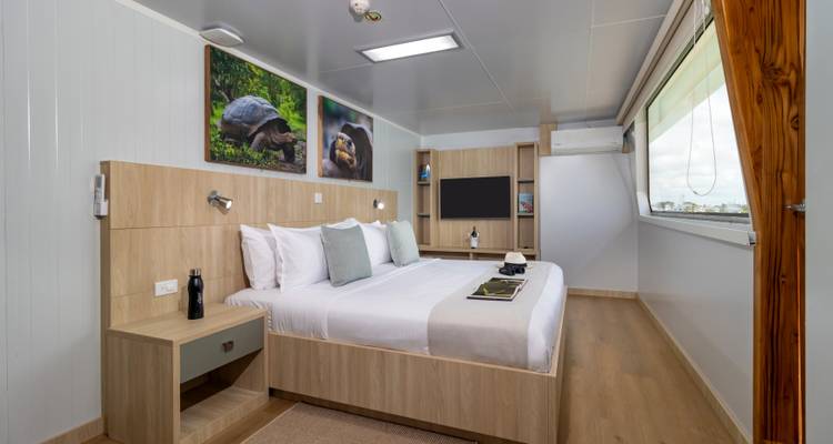 Galapagos Angel - 4 days itinerary A - Royal Galapagos 6