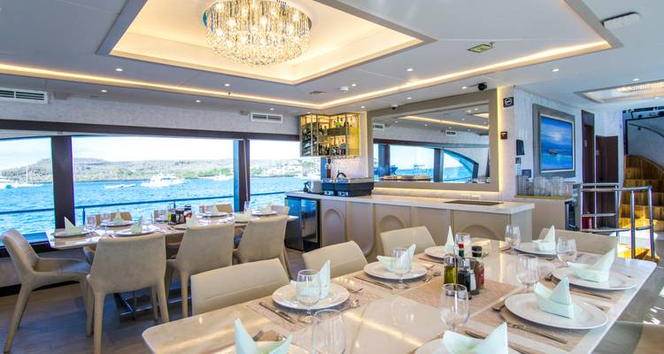 Grand Majestic - 8 days itinerary A - Royal Galapagos 1
