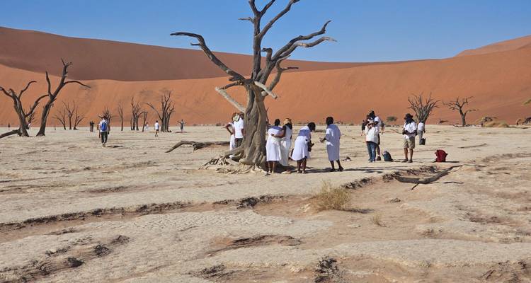 Touristen erkunden eine dramatische Wüstenlandschaft mit toten Bäumen.