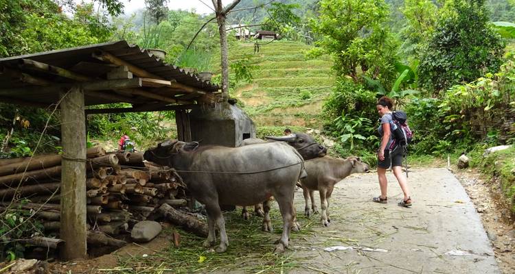 Aventura épica en Vietnam en 19 días - Travel Sense Asia 7