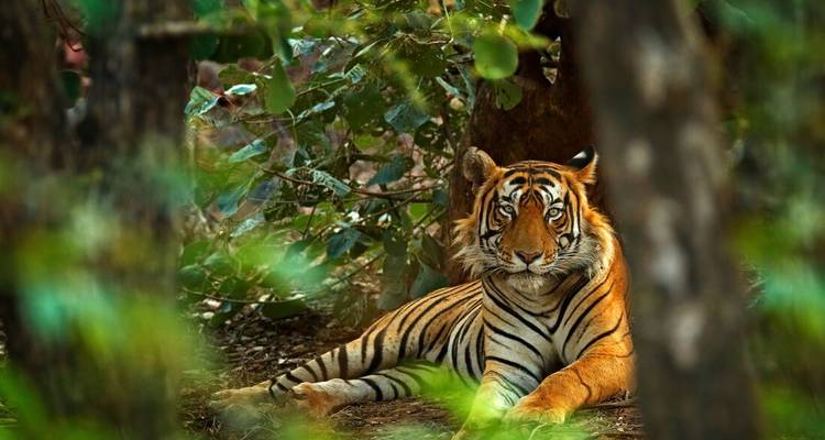 North India Highlights - Intrepid Travel 4