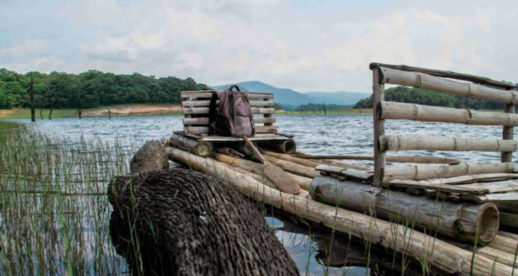 Le luxe dans les backwaters du Kerala et la vie sauvage - Golden Triangle India Tours 7