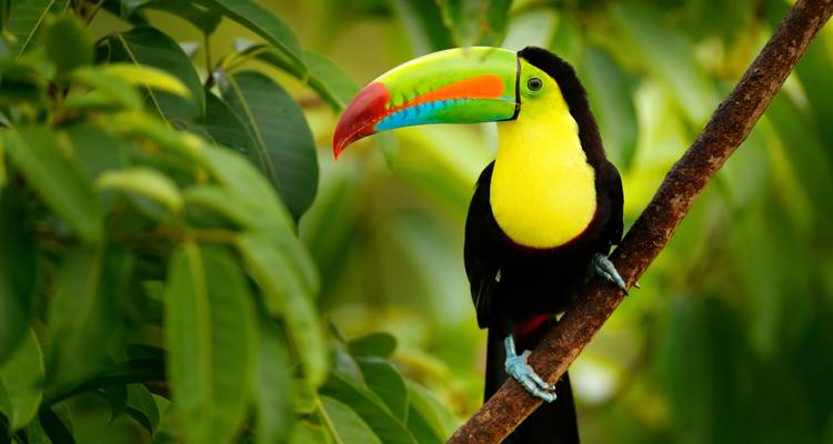 Hola Colombia: Caribbean Nights meet Jungle Vibes - journaway 8