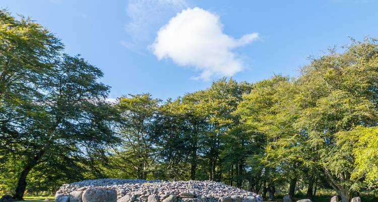 Cercle de pierres avec des arbres et un ciel bleu.