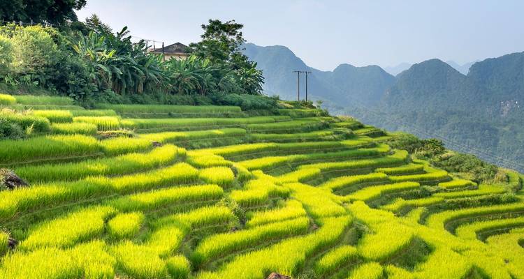 Vietnam Adventure Holiday in 21 Days - Travel Sense Asia 7