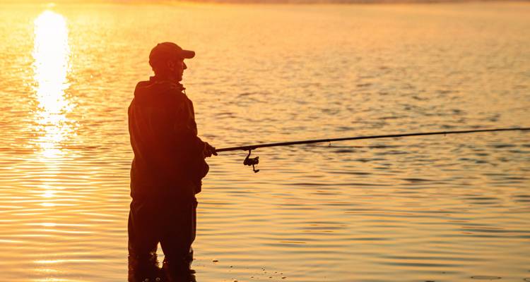 Summer Camp – The Wild Taiga Experience - Aksyt Ammat Ltd 8
