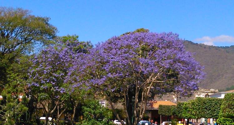 Amazing Guatemala - Share tour - GTM Tour Guide and Travel Services 9