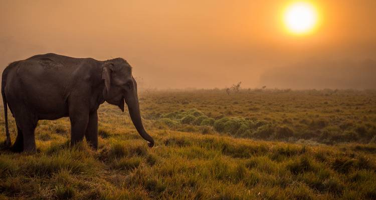 Lujo en el Norte de la India con Ayodhya y Ranthambore - Golden Triangle India Tours 2