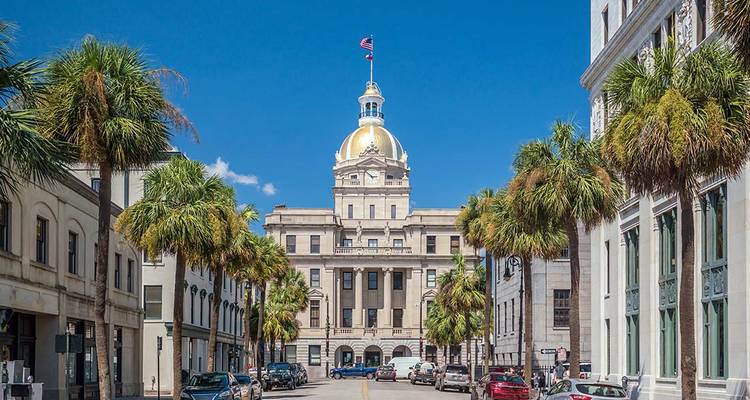 Street view of a regal building with a golden dome, lined with palm trees.