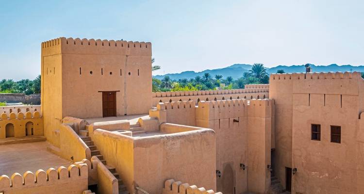 Traditional fort with palm trees.