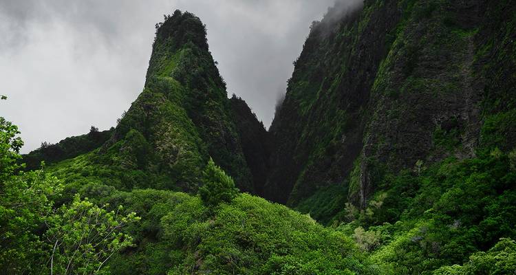Aloha Hawaii Discovering Kauai and Maui (Lihue, HI to Maui, HI) - Collette 6