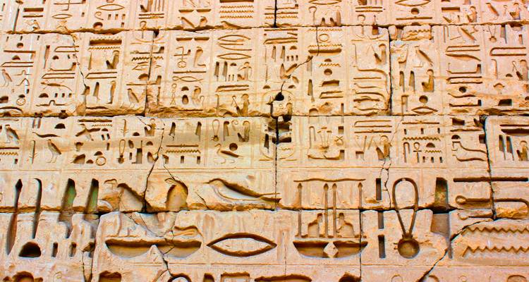 Gros plan sur des hiéroglyphes égyptiens anciens et complexes gravés dans un mur de grès