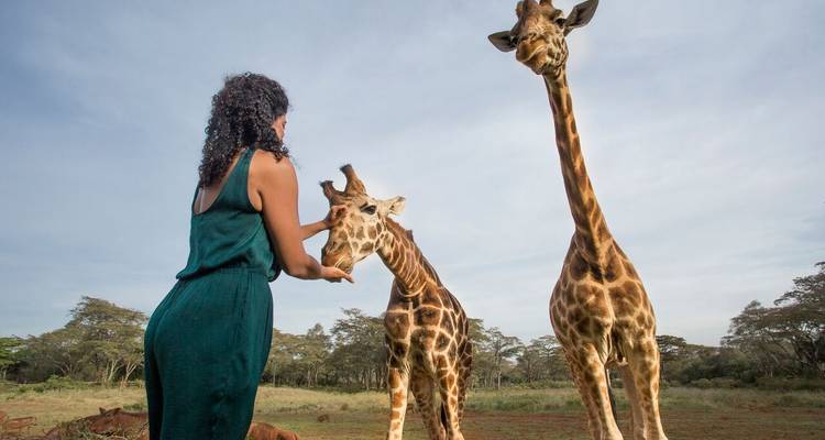1 Día - Safari al Amanecer en Nairobi y Excursión en Grupo por la Ciudad - Samson's Safaris 7