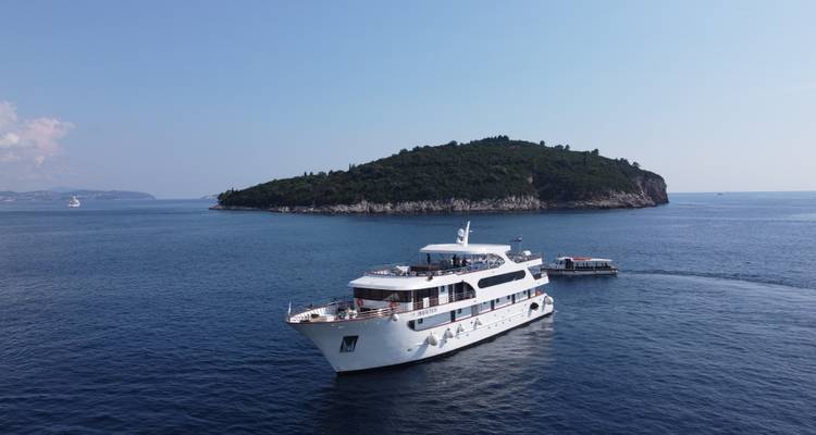 Kreuzfahrtschiff in der Nähe einer üppig grünen Insel.