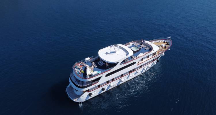 Vogelperspektive eines Kreuzfahrtschiffs auf ruhigen Gewässern.