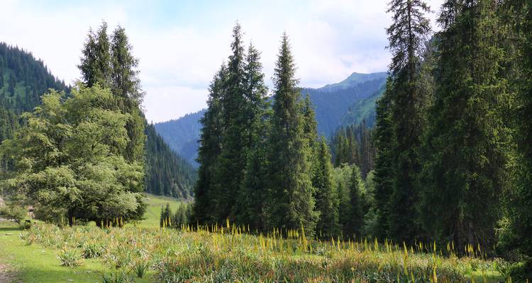 Tien Shan and Uzbekistan (17 days) - Central Asia Travel LP  7
